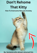 How To Overcome New Cat Anxiety PDF Oasis